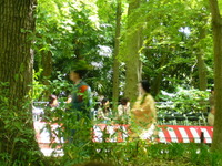 京の三大祭り、葵祭り。