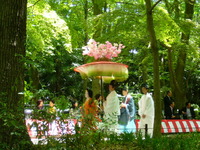 京の三大祭り、葵祭り。