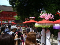 京の三大祭り、葵祭り。