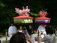 京の三大祭り、葵祭り。