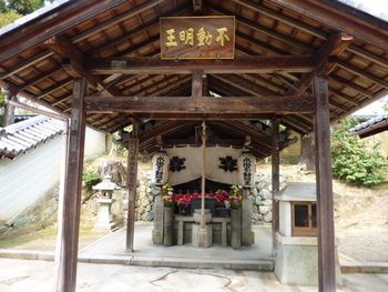 京の冬の旅　非公開文化財特別公開　仁和寺 金堂・五重塔